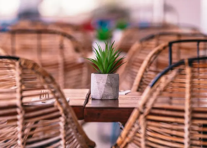 Bluesea Alyssa 호텔 4*